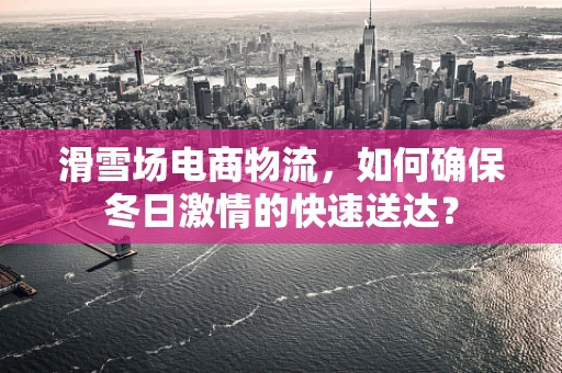 滑雪场电商物流，如何确保冬日激情的快速送达？