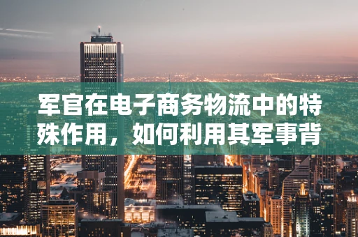 军官在电子商务物流中的特殊作用，如何利用其军事背景优化物流策略？