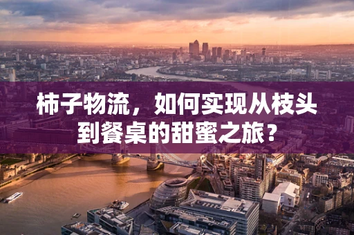 柿子物流，如何实现从枝头到餐桌的甜蜜之旅？