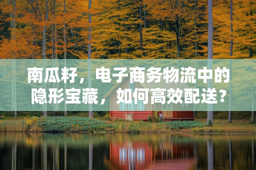 南瓜籽，电子商务物流中的隐形宝藏，如何高效配送？