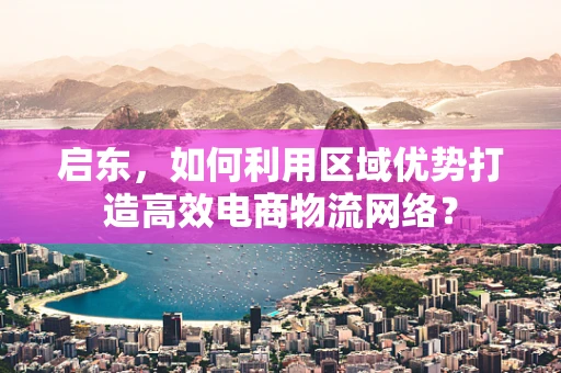 启东，如何利用区域优势打造高效电商物流网络？