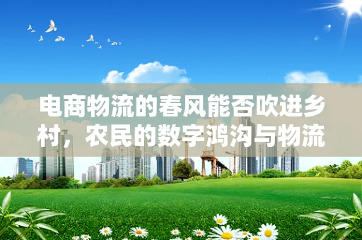 电商物流的春风能否吹进乡村，农民的数字鸿沟与物流挑战