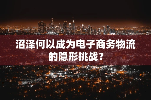 沼泽何以成为电子商务物流的隐形挑战？