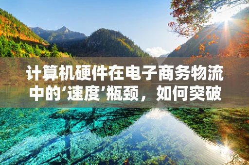 计算机硬件在电子商务物流中的‘速度’瓶颈，如何突破？