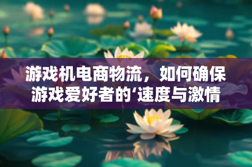 游戏机电商物流，如何确保游戏爱好者的‘速度与激情’？