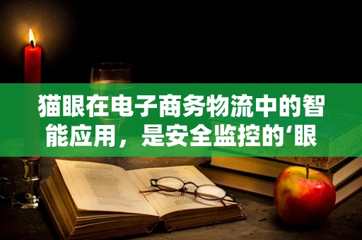 猫眼在电子商务物流中的智能应用，是安全监控的‘眼睛’还是用户体验的‘窗口’？