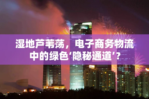 湿地芦苇荡，电子商务物流中的绿色‘隐秘通道’？