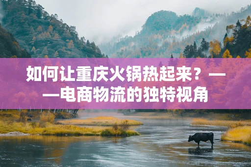 如何让重庆火锅热起来？——电商物流的独特视角