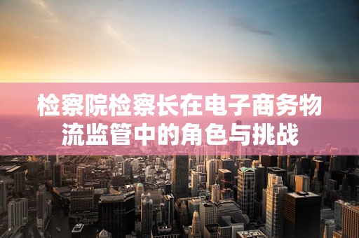 检察院检察长在电子商务物流监管中的角色与挑战