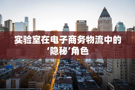 实验室在电子商务物流中的‘隐秘’角色