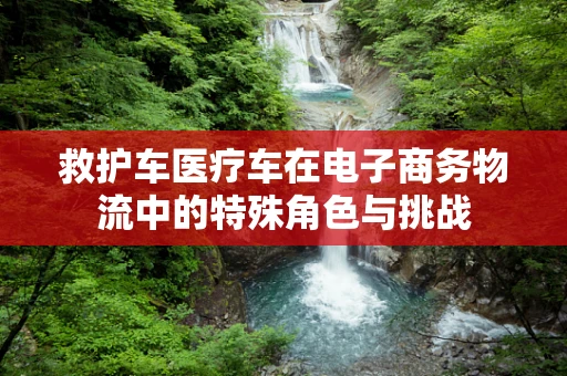 救护车医疗车在电子商务物流中的特殊角色与挑战