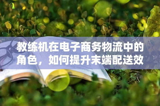 教练机在电子商务物流中的角色，如何提升末端配送效率？