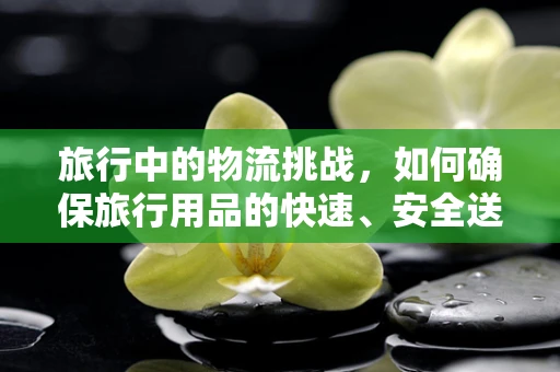 旅行中的物流挑战，如何确保旅行用品的快速、安全送达？