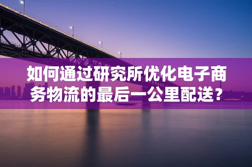 如何通过研究所优化电子商务物流的最后一公里配送？