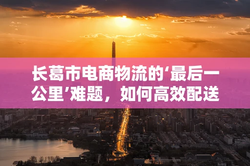长葛市电商物流的‘最后一公里’难题，如何高效配送至偏远乡村？