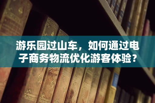 游乐园过山车，如何通过电子商务物流优化游客体验？