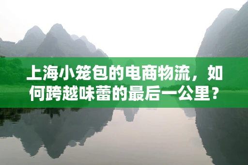 上海小笼包的电商物流，如何跨越味蕾的最后一公里？
