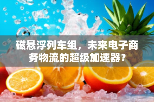 磁悬浮列车组，未来电子商务物流的超级加速器？