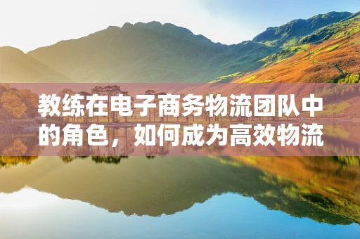 教练在电子商务物流团队中的角色，如何成为高效物流的幕后推手？