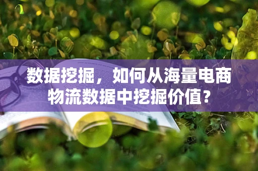 数据挖掘，如何从海量电商物流数据中挖掘价值？