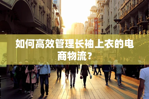 如何高效管理长袖上衣的电商物流？
