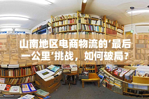 山南地区电商物流的‘最后一公里’挑战，如何破局？