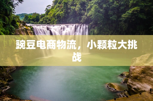 豌豆电商物流，小颗粒大挑战