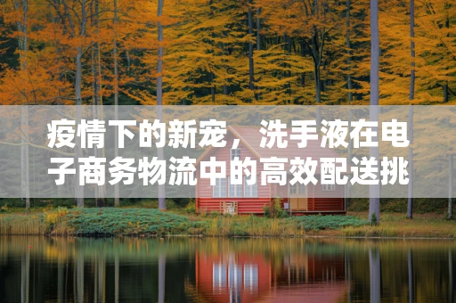 疫情下的新宠，洗手液在电子商务物流中的高效配送挑战