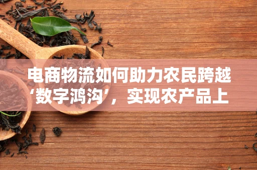 电商物流如何助力农民跨越‘数字鸿沟’，实现农产品上行？