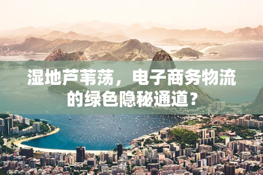 湿地芦苇荡，电子商务物流的绿色隐秘通道？