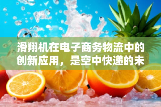 滑翔机在电子商务物流中的创新应用，是空中快递的未来吗？