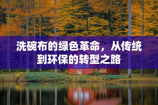 洗碗布的绿色革命，从传统到环保的转型之路