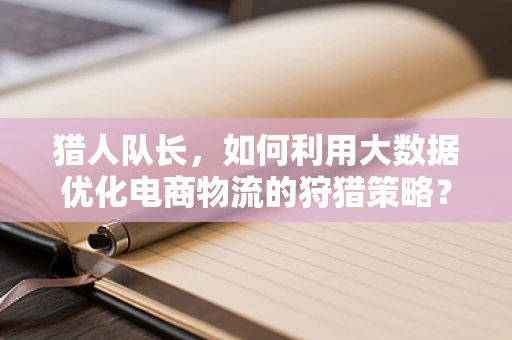 猎人队长，如何利用大数据优化电商物流的狩猎策略？