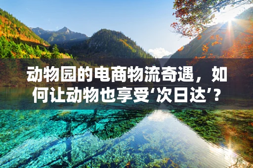 动物园的电商物流奇遇，如何让动物也享受‘次日达’？