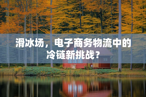 滑冰场，电子商务物流中的冷链新挑战？
