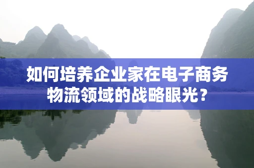 如何培养企业家在电子商务物流领域的战略眼光？