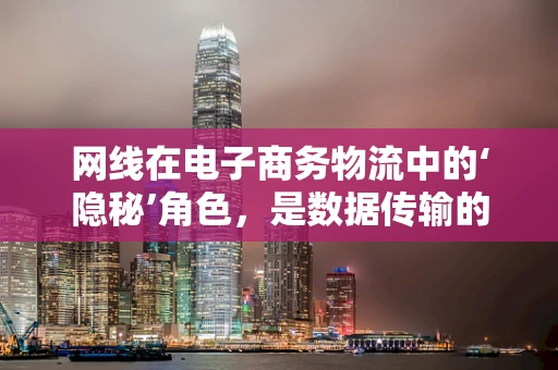 网线在电子商务物流中的‘隐秘’角色，是数据传输的隐形纽带吗？