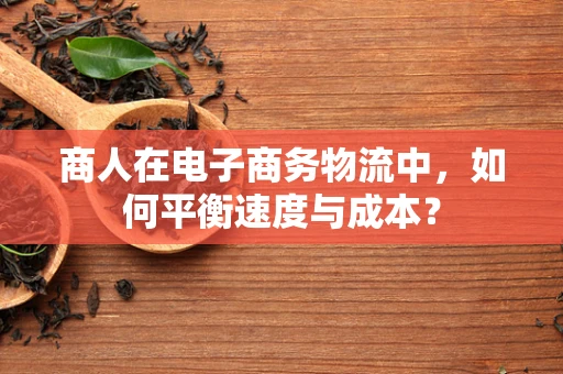 商人在电子商务物流中，如何平衡速度与成本？