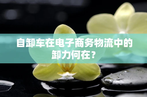 自卸车在电子商务物流中的卸力何在？