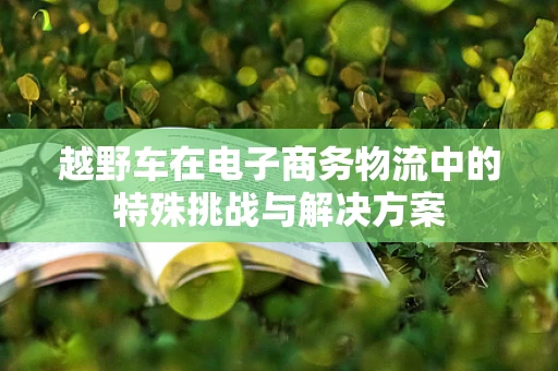 越野车在电子商务物流中的特殊挑战与解决方案