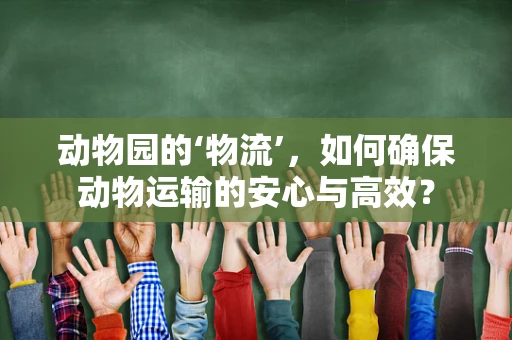 动物园的‘物流’，如何确保动物运输的安心与高效？