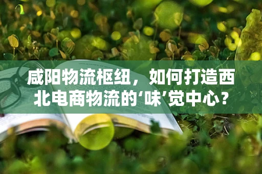咸阳物流枢纽，如何打造西北电商物流的‘味’觉中心？