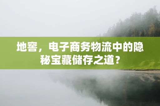 地窖，电子商务物流中的隐秘宝藏储存之道？