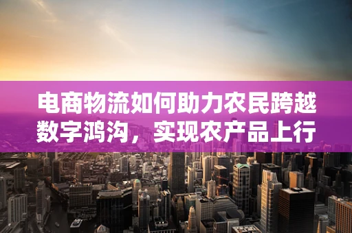 电商物流如何助力农民跨越数字鸿沟，实现农产品上行？