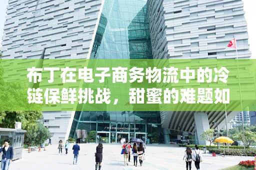 布丁在电子商务物流中的冷链保鲜挑战，甜蜜的难题如何破解？