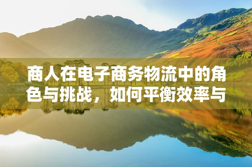 商人在电子商务物流中的角色与挑战，如何平衡效率与成本？
