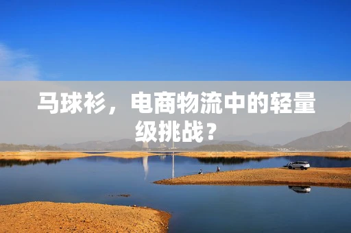 马球衫，电商物流中的轻量级挑战？