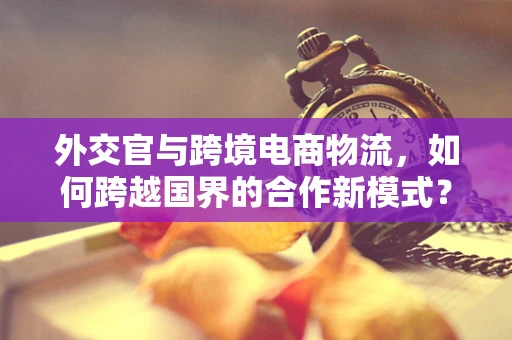 外交官与跨境电商物流，如何跨越国界的合作新模式？