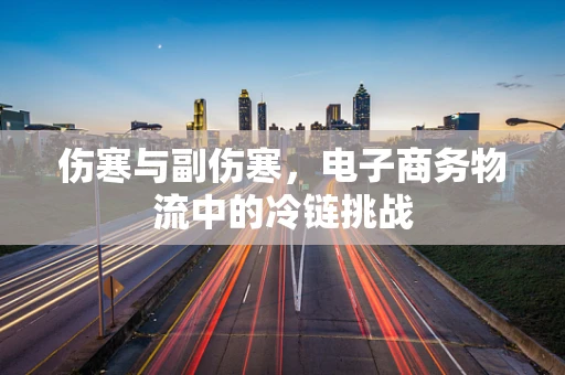 伤寒与副伤寒，电子商务物流中的冷链挑战
