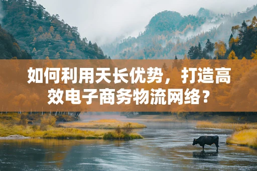 如何利用天长优势，打造高效电子商务物流网络？